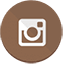 Instagram Icon